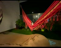Black and white dog lays inside hammock 
