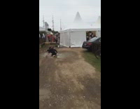 Guy in black clothes and red shoes cannonballs into puddle