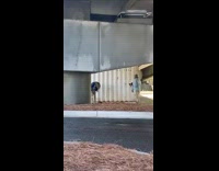 Guy jacket whip hair under the bridge