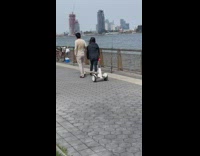 White Segway Follows Behind Walking Couple 