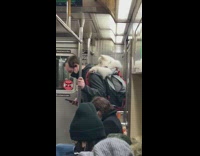 Guy rides subway with dog in backpack 