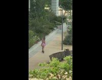 Girl pink flare dress spin video oops