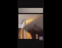 Guy runs into wall on facetime magic trick 
