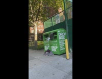 Person head first inside of green clothing donation box