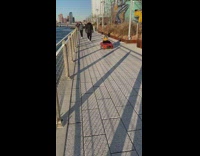 Little boy rides toy car at park 