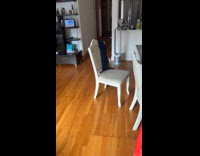 Collab Clips MPUGC - Woman pranks dog by changing her voice 