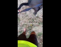 Dog poop rolling down from hill 