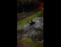 Man run and flips on the canal