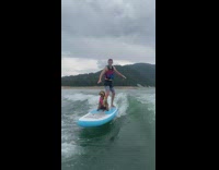 Guy ride surfboard with brown dog ocean