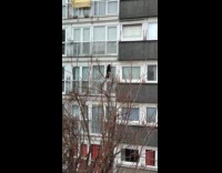 Clothes hanging on tree blown by wind