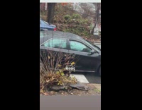 Driver drives car with broken bumper and airbags 