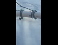 Wasp attacks insect inside the greenhouse pipe