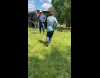 Woman ride black cow push man away