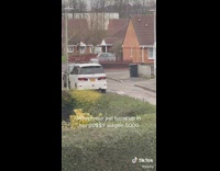 When your pal turns up in her possy wagon 5000