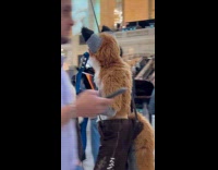 Furry filming at photo exhibit