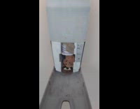 Small wasp nest inside the hand sanitizer