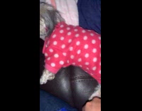 Woman picks up dog lies down after