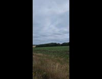 Submitter shows airplane flies low over field
