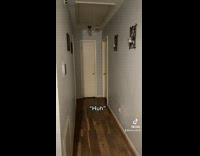 Collab BitchMP - Green bird parrot sounds like hispanic mom