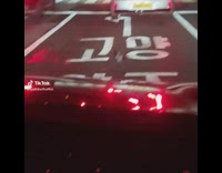 Man Shoos Pigeon on Middle of Road