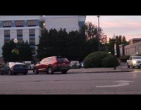 Flock of birds in sky to migrate