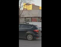 Pet dog barks at cars inside the van window