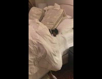 Black dog in bed drops red bone toy 