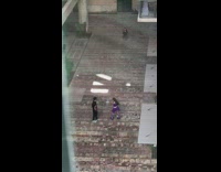 Couple dressed as superheroes pose hotel courtyard 