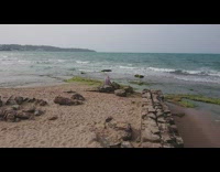 Beach with some rocks and greens overcast