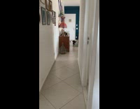 Dog waiting for toy looks back at owner 