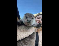 Lady Holds Up Otter and Tries to Bite