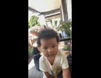 Pug loud and noisy whining and wants attention