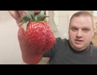 Guy melt strawberry with microwave and taste it