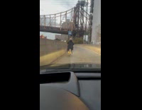 Collab WINY - Person in bike wrong turn to FDR