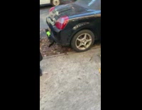 Girl holds leash grey cat street car