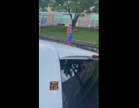 Spiderman toy on roof of parked car