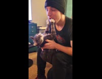 Pet cat rejects kiss from the man