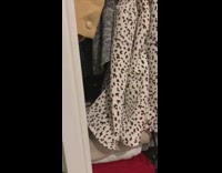 Guy finds grey brown cat in closet 