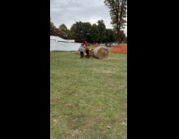 Collab IITW - Two people tiktok dance front of hay