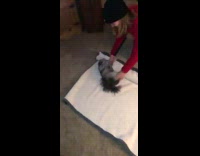 Collab BitchMP - Dog rolls up in blanket