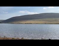Kid screams for help tent flipped over