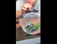 Guy gets fish in bowl to jump through hair tie ring