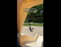 Collab Clips MPUGC2 - Kid and dog playing at slide