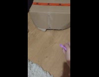 Cat hidden under box grab  purple spoon