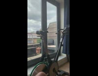 Black white kitten jumps at sliding door 