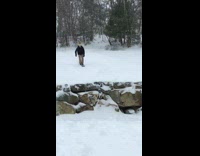 Collab JerrySlams - Guy loses ski off foot mid jump and falls down in snow