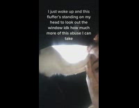 Black and white cat standing on womans face 