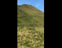 Guy purple shirt martial arts moves hill 