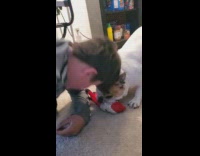 Man barks at the dog and it tries to bite him