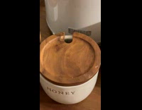 Collab BitchMP - Gecko crawling inside honey canister 